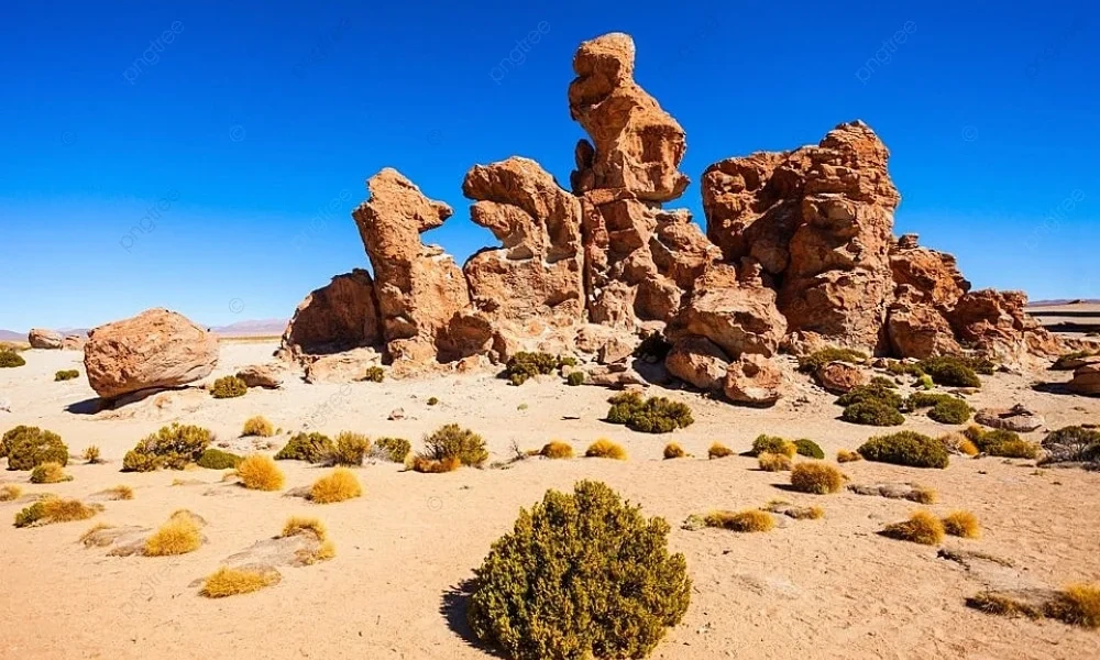 Tour Salar de Uyuni 1 día