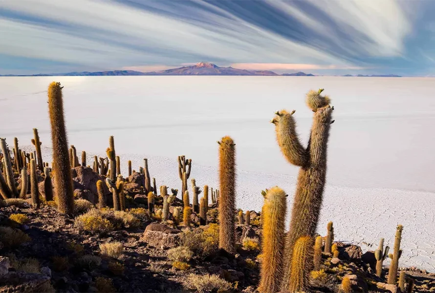 Tour Salar de Uyuni desde Lima | 4D/3N