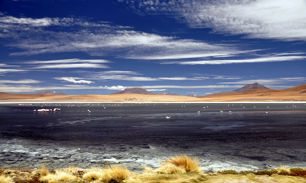 Cañapa Lagoon in Uyuni