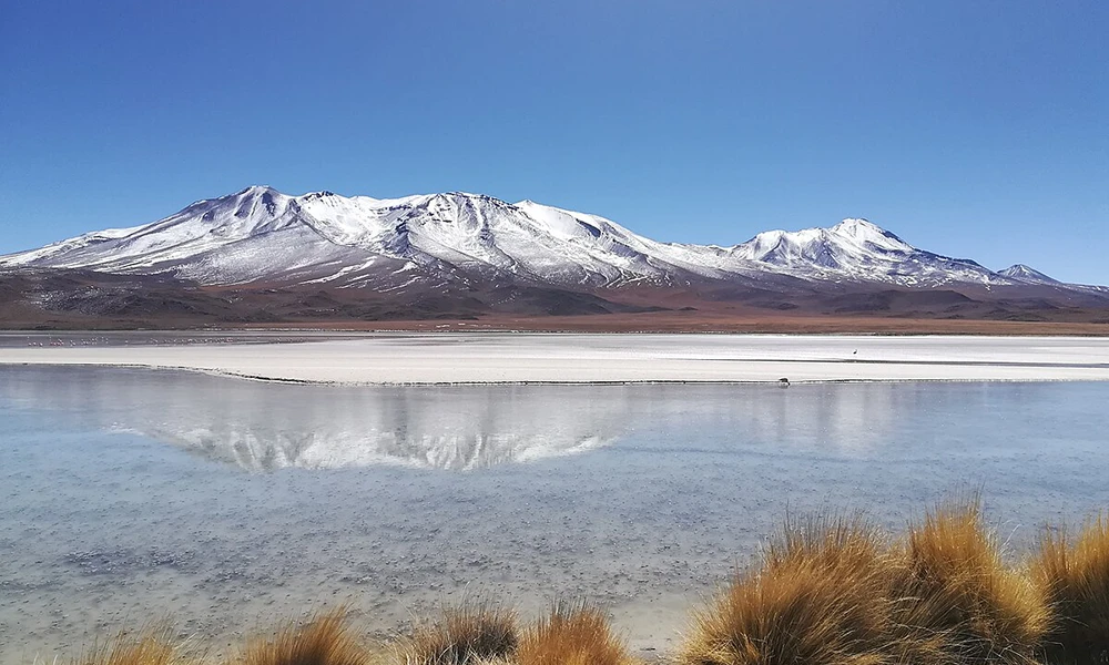 Cañapa Lagoon in Uyuni