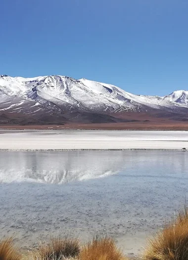 Cañapa Lagoon in Uyuni