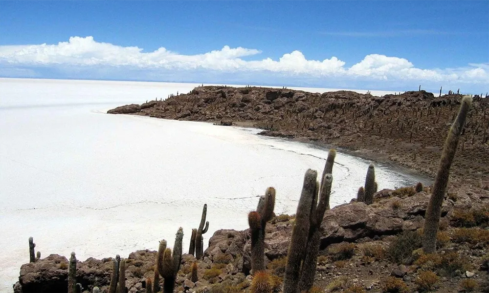 Incahuasi Island