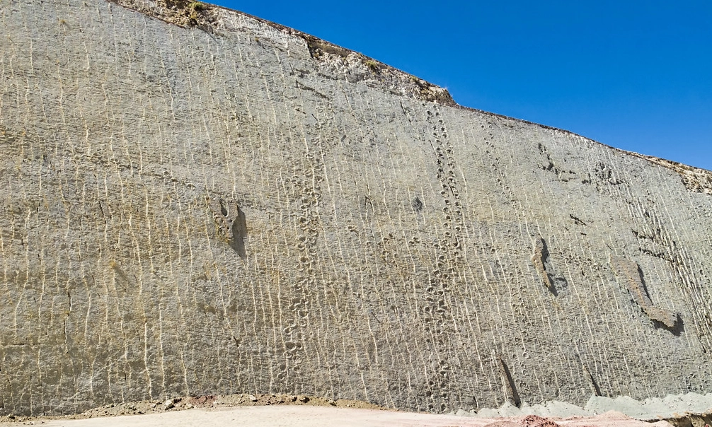 Parque Cretácico en Bolivia
