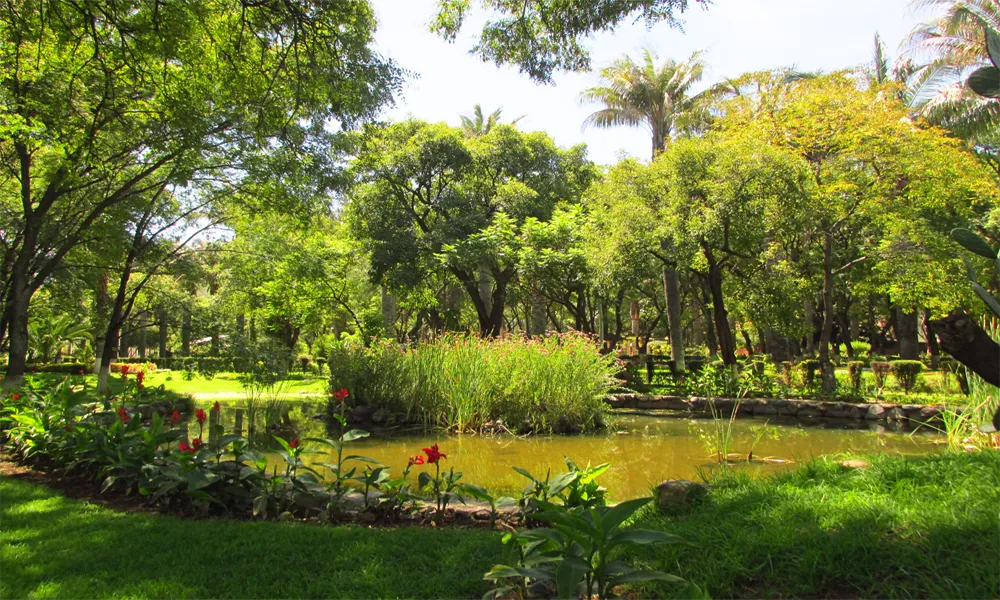 Martín Cárdenas Botanical Garden