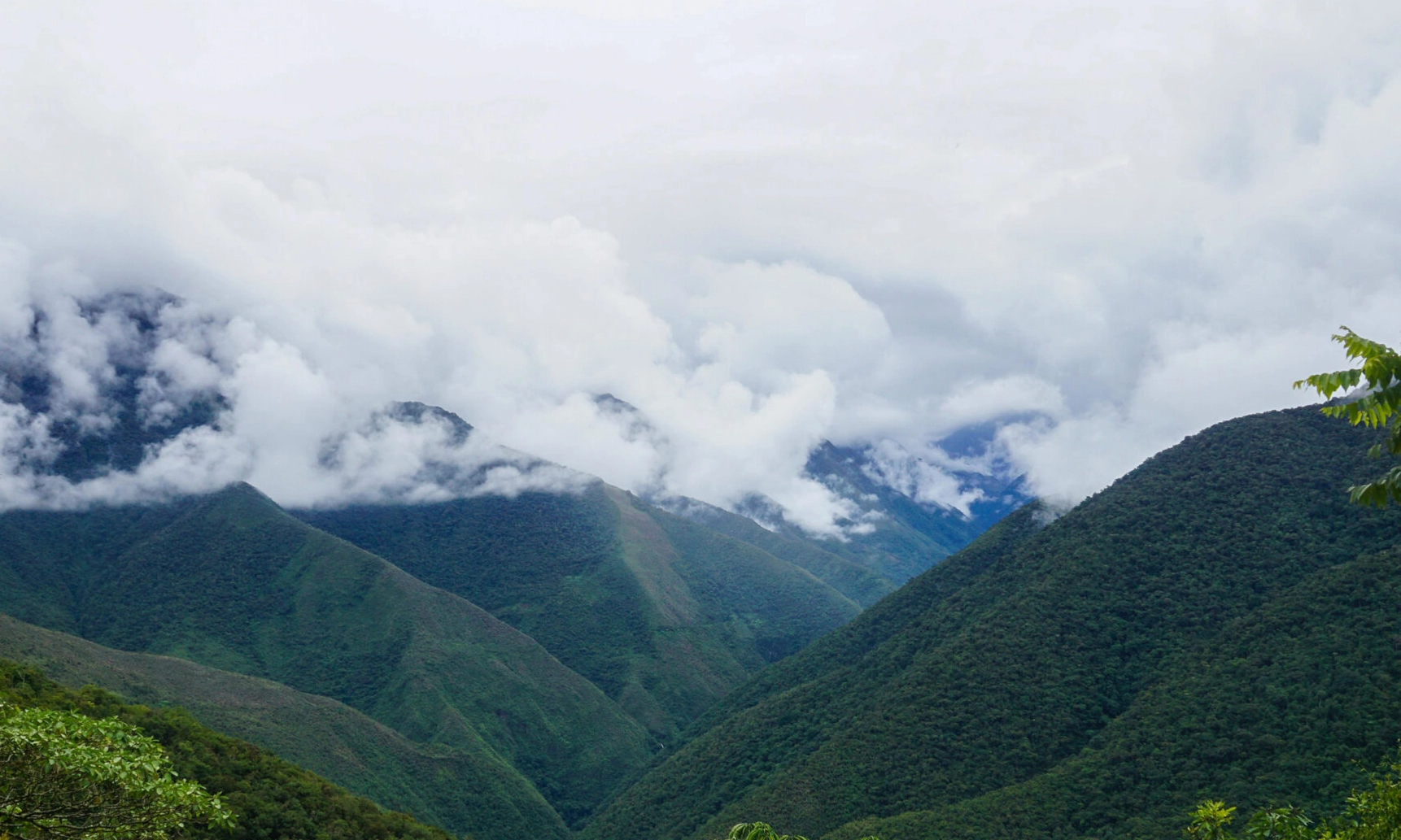 North Yungas Road