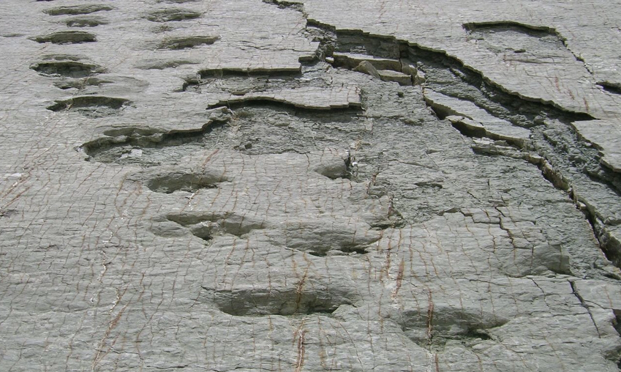 Parque Cretácico en Bolivia