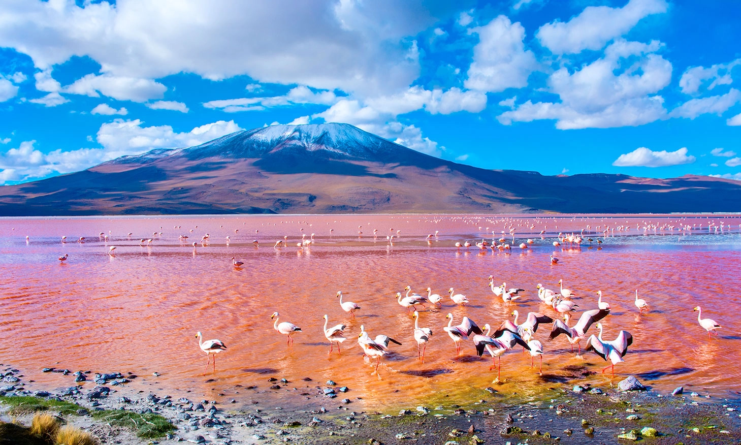 Laguna Colorada Bolívia