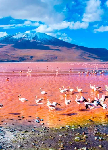 Uyuni Salt Flats Tour 3 Days / 2 Nights