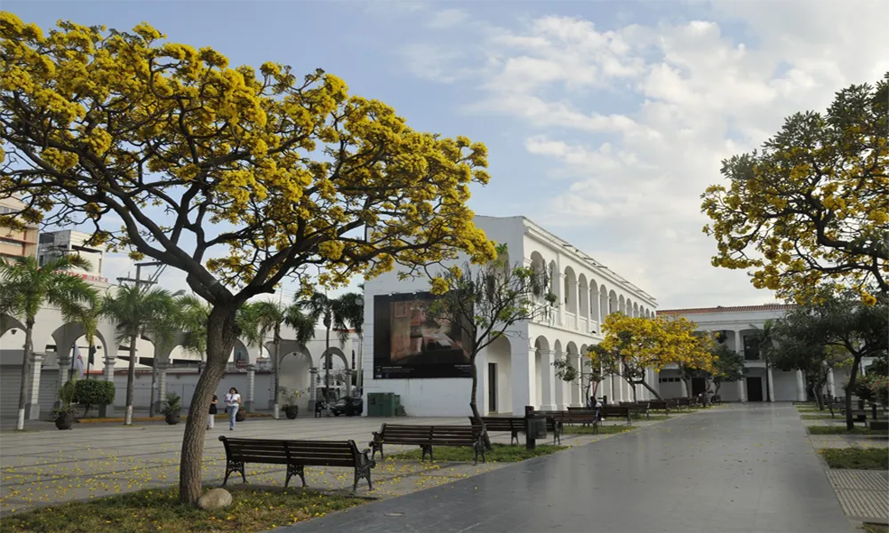 Manzana Uno Art Space