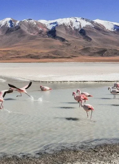 Uyuni Salt Flats Tour from Cusco by Flight | 2D/1N