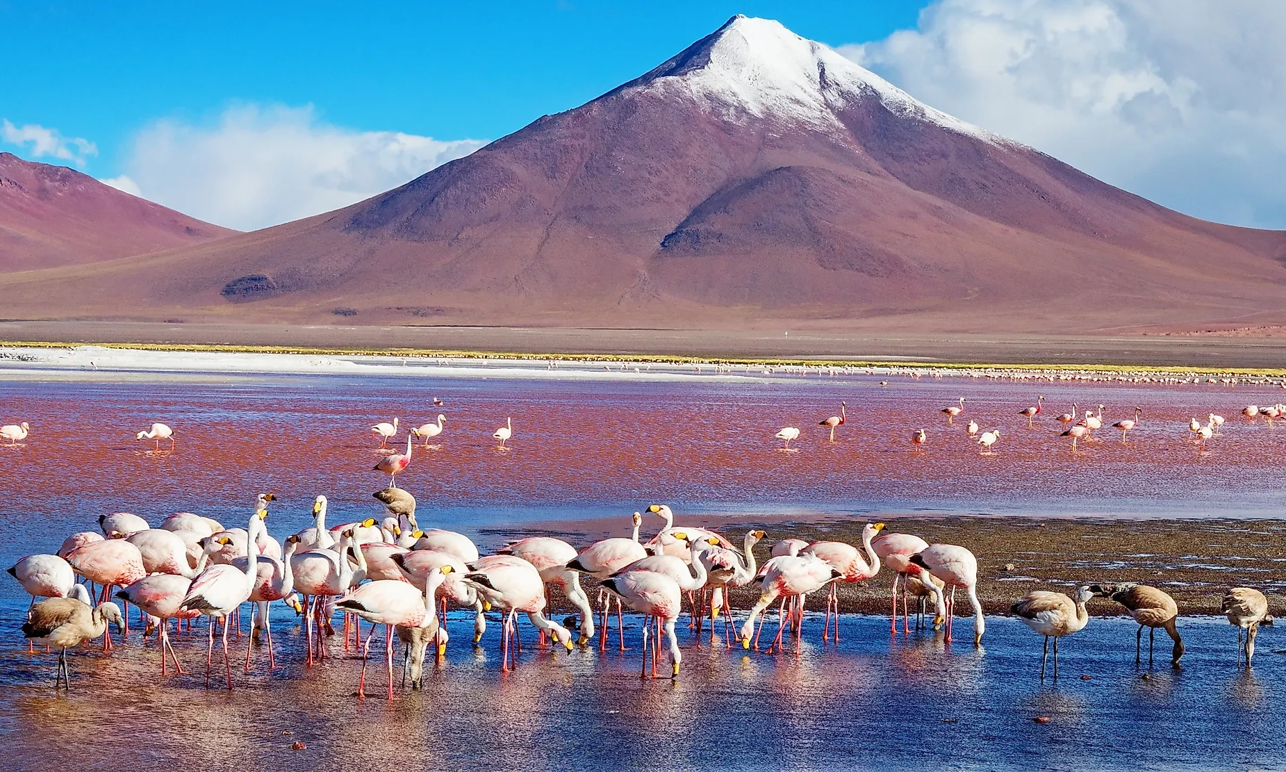 Laguna Colorada