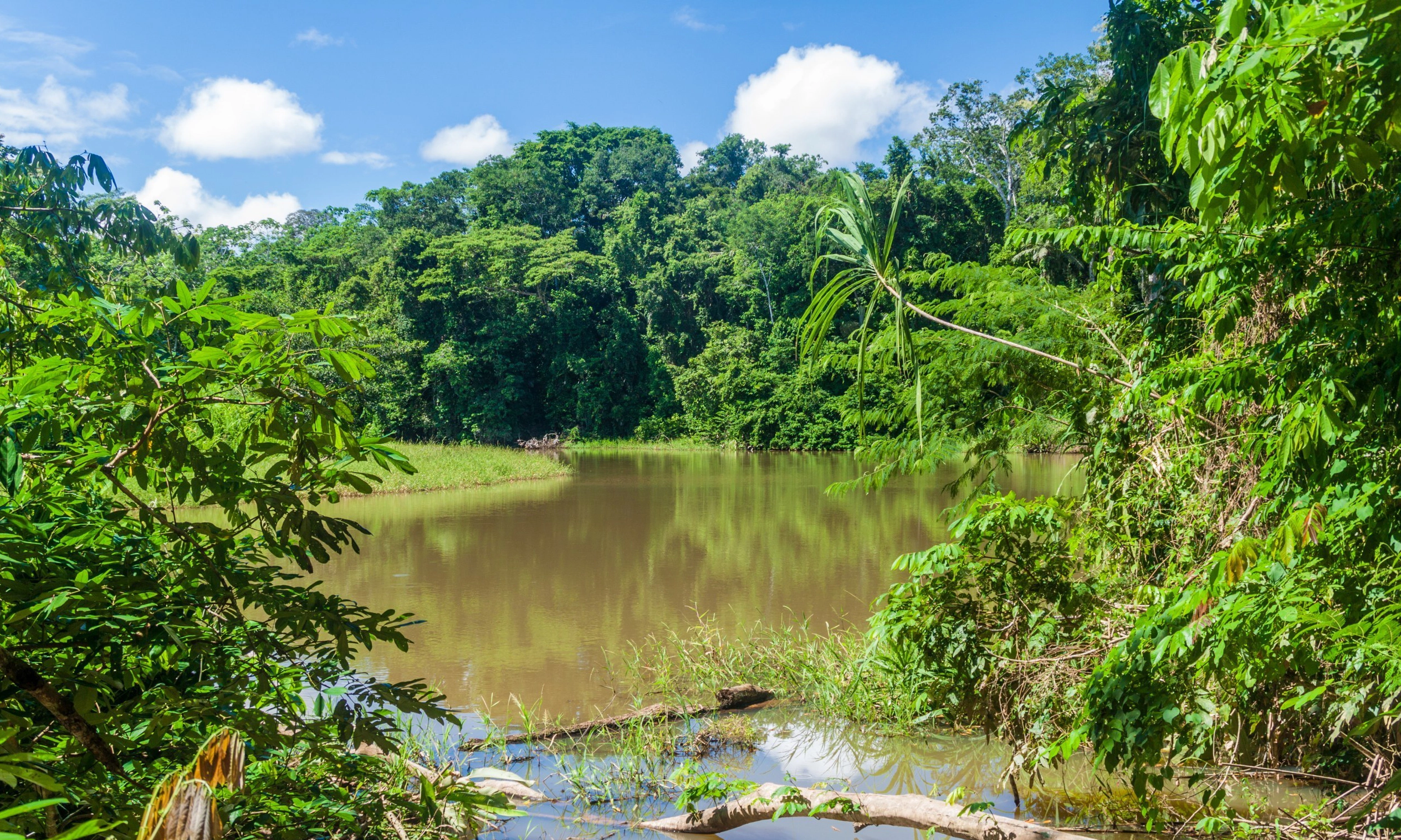 Parque Nacional Amboró