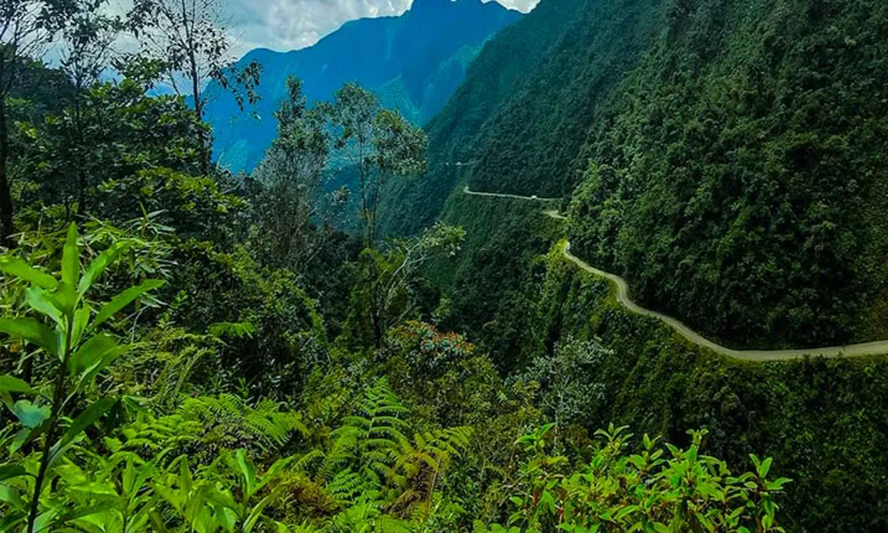 La Paz | Ruta de la muerte en bicicleta