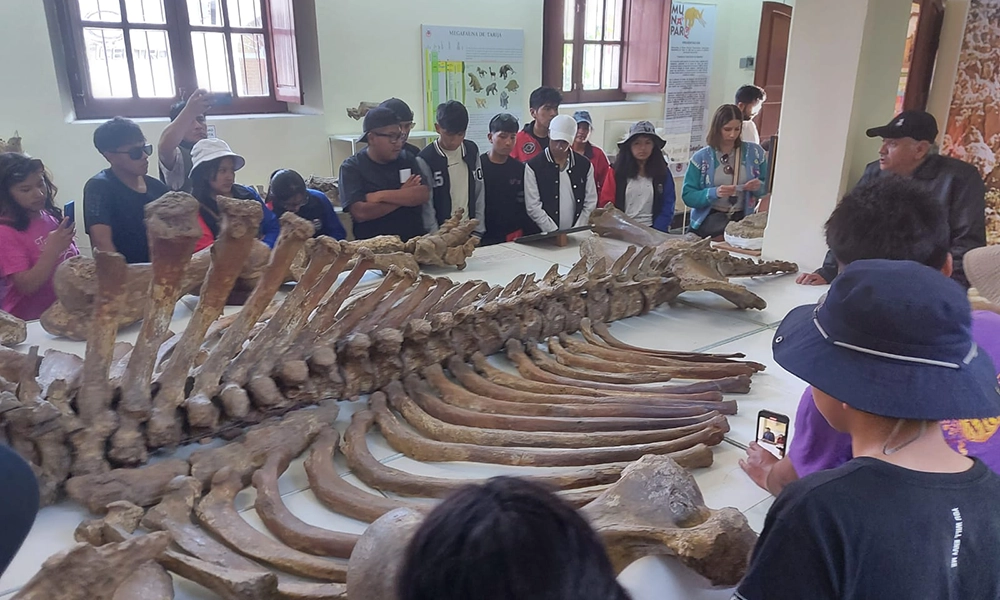 Museo Nacional Paleontológico Arqueológico de Tarija 